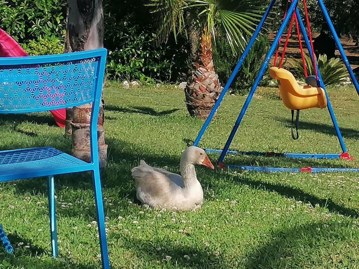 B&B Villa Molinari Restaurant E Baby Park Campagna Zewnętrze zdjęcie